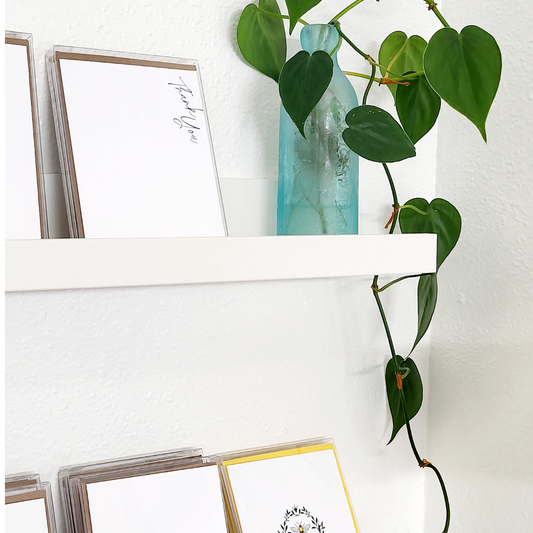 Unleash Your Green Thumb with the Finest House Plants at Idea Chic