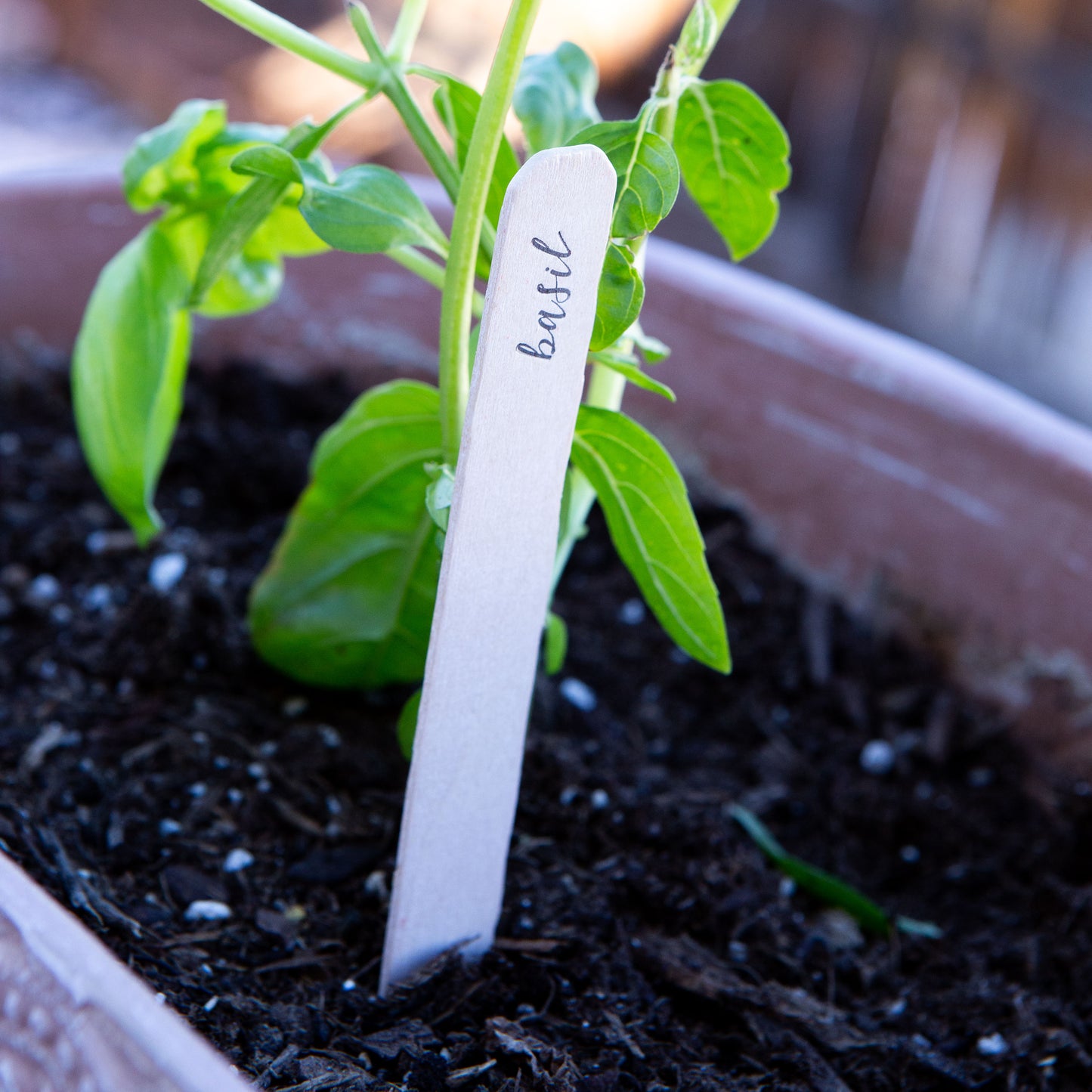 Herb Garden Markers | Set of 10 Wooden Stakes - Idea Chíc