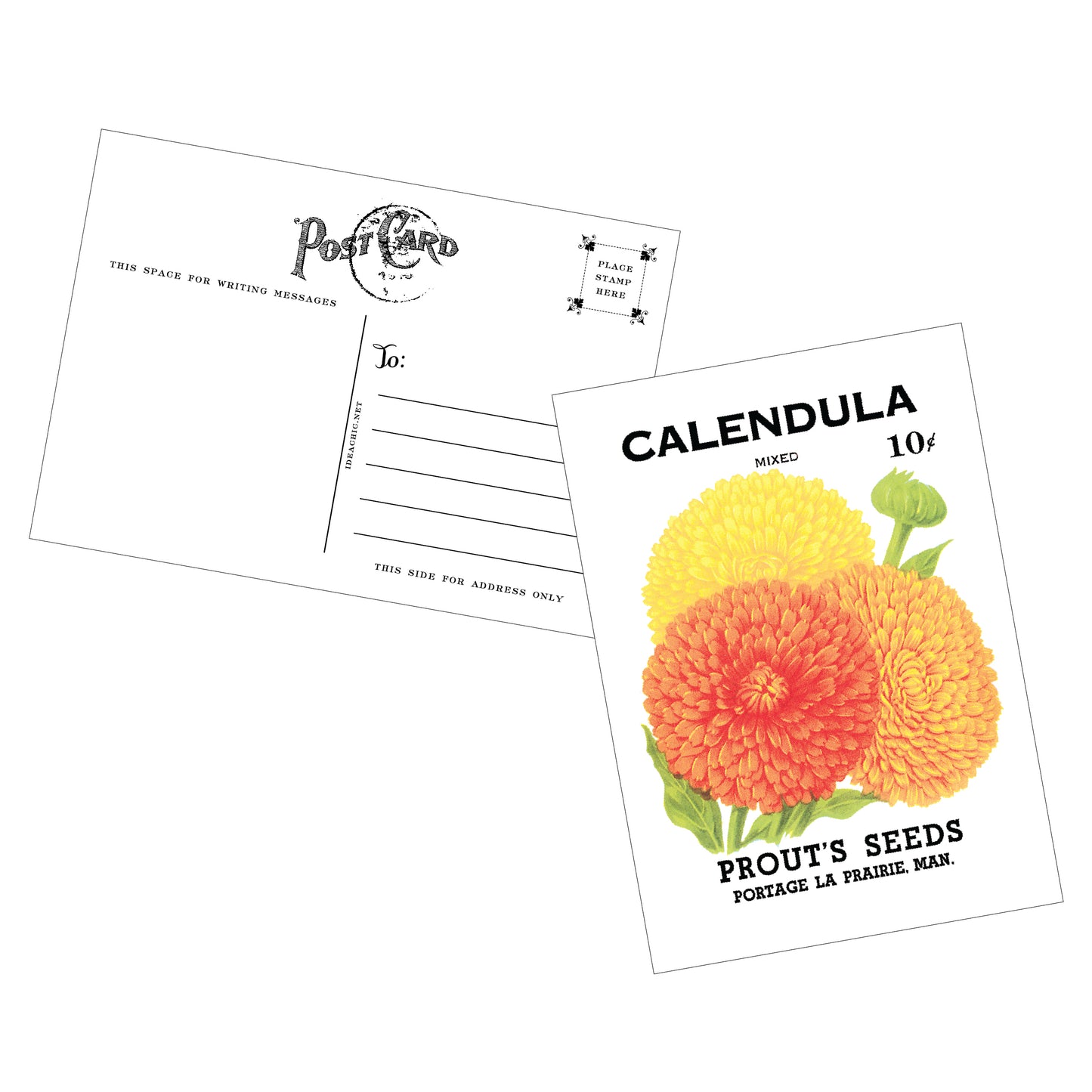 Vintage Seed Packet Postcards - Pack of 12 - Idea Chíc