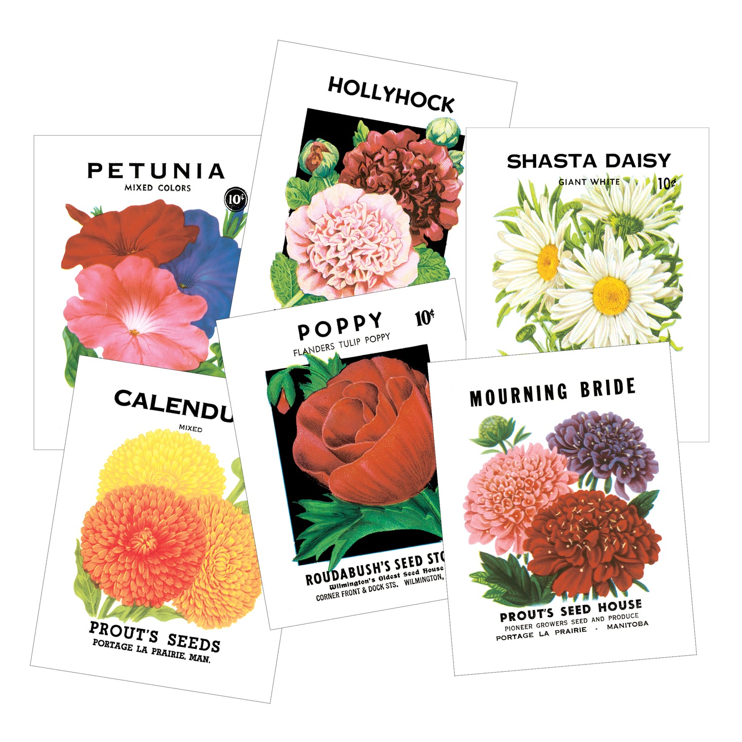 Vintage Seed Packet Postcards - Pack of 12 - Idea Chíc