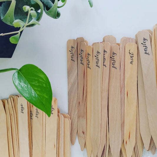 Thyme To Print Herb Garden Markets at Idea Chic in Denver