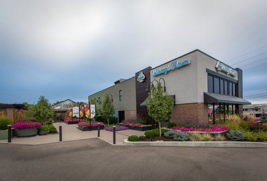 Veldkamp´s Flowers in Denver Colorado
