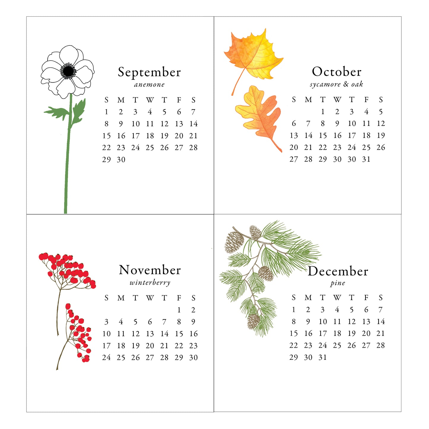 2024 Idea Chíc Botanical Mini Desk Calendar