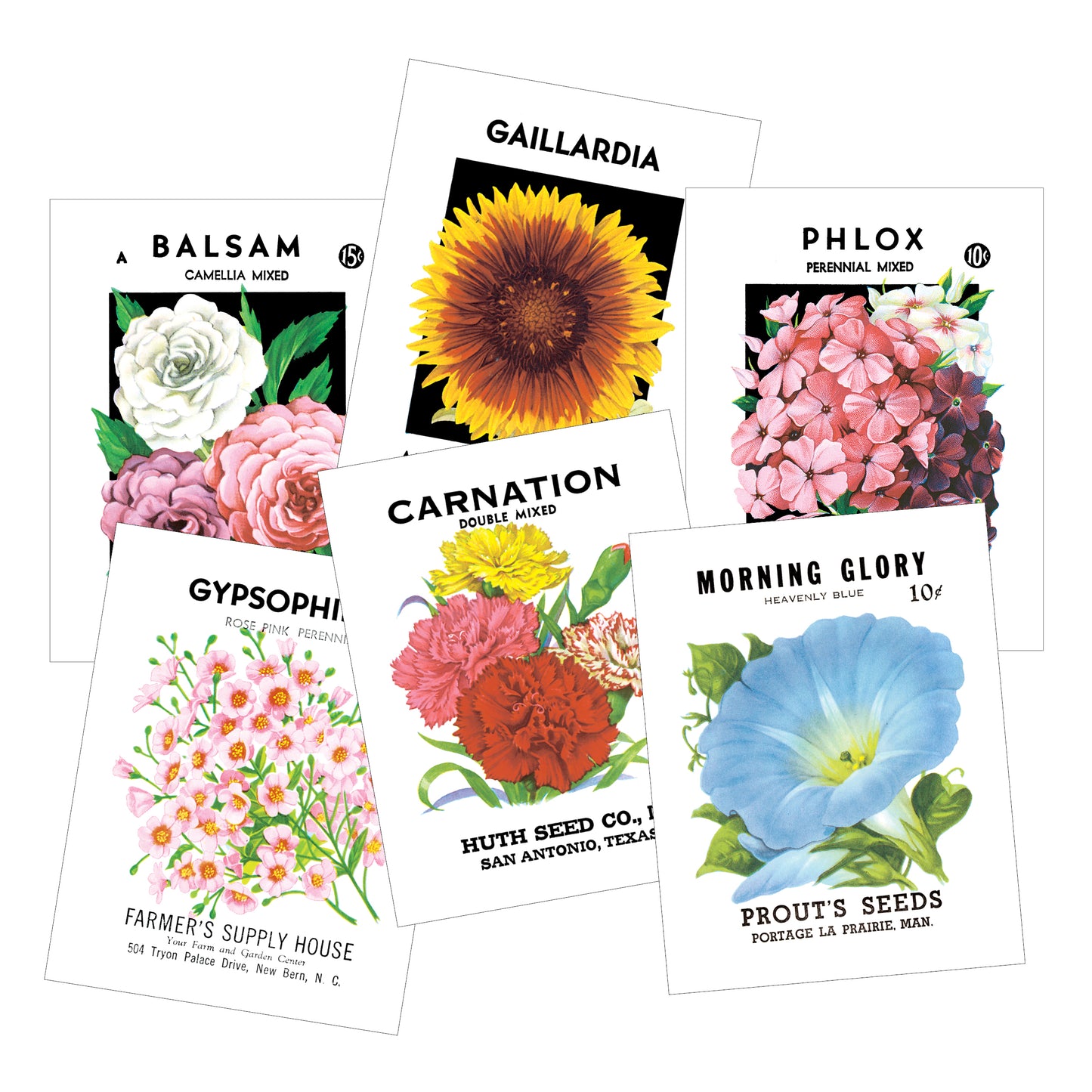 Vintage Seed Packet Postcards - Pack of 12 - Idea Chíc