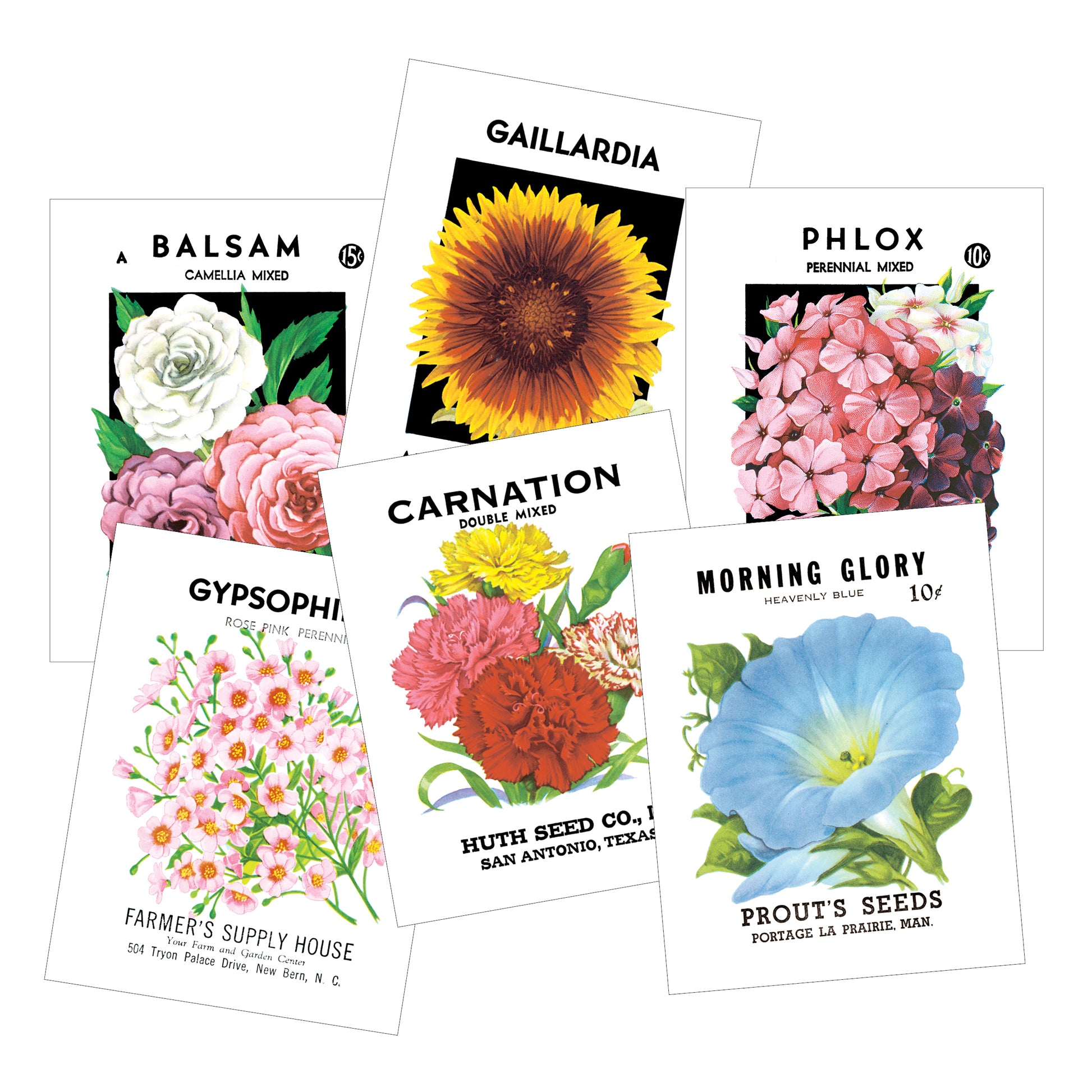 Vintage Seed Packet Postcards - Pack of 12 - Idea Chíc