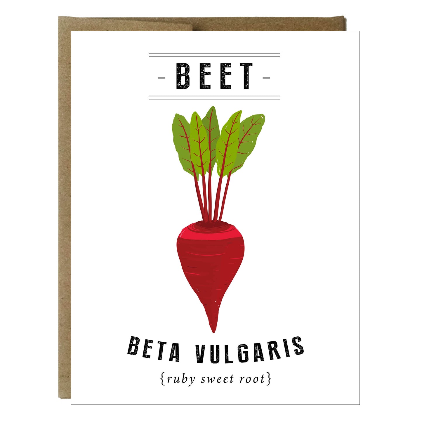 Tarjetas botánicas de verduras y hierbas - paquete de 5