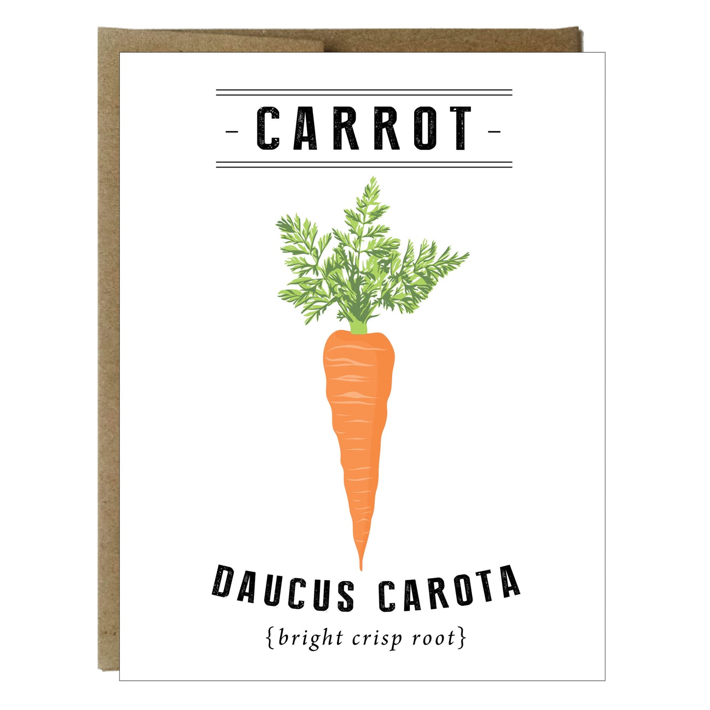 Tarjetas botánicas de verduras y hierbas - paquete de 5