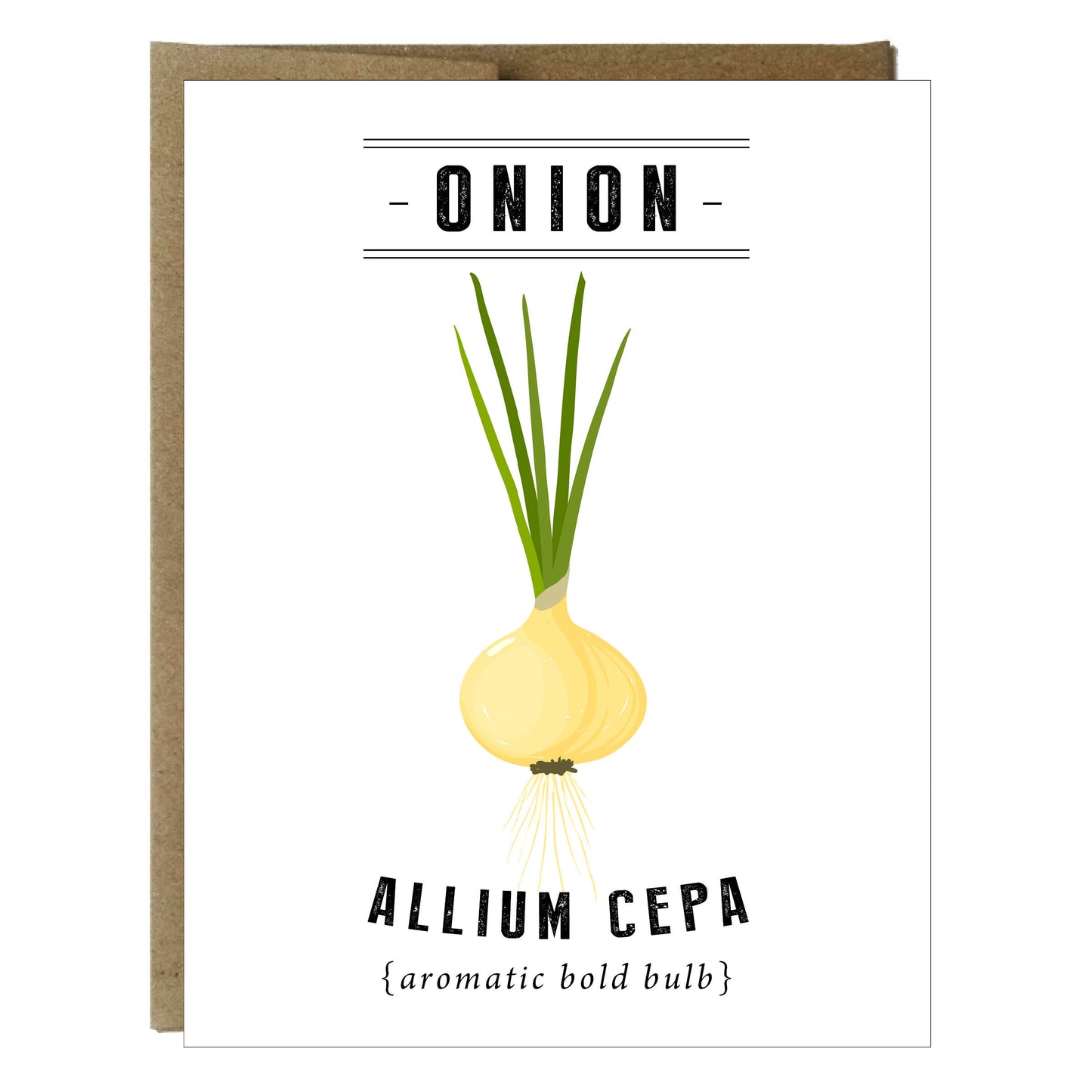 Tarjetas botánicas de verduras y hierbas - paquete de 5