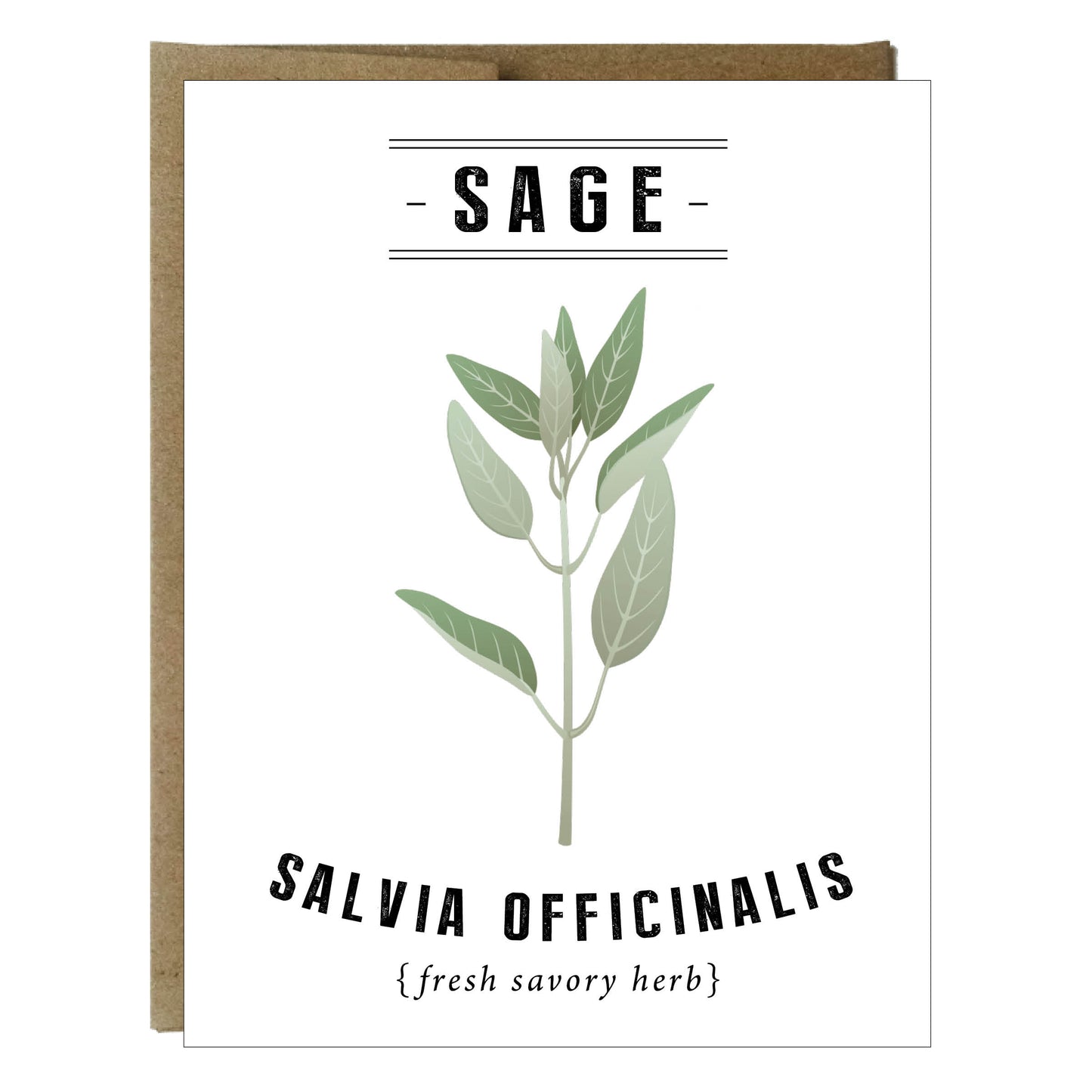Tarjetas botánicas de verduras y hierbas - paquete de 5