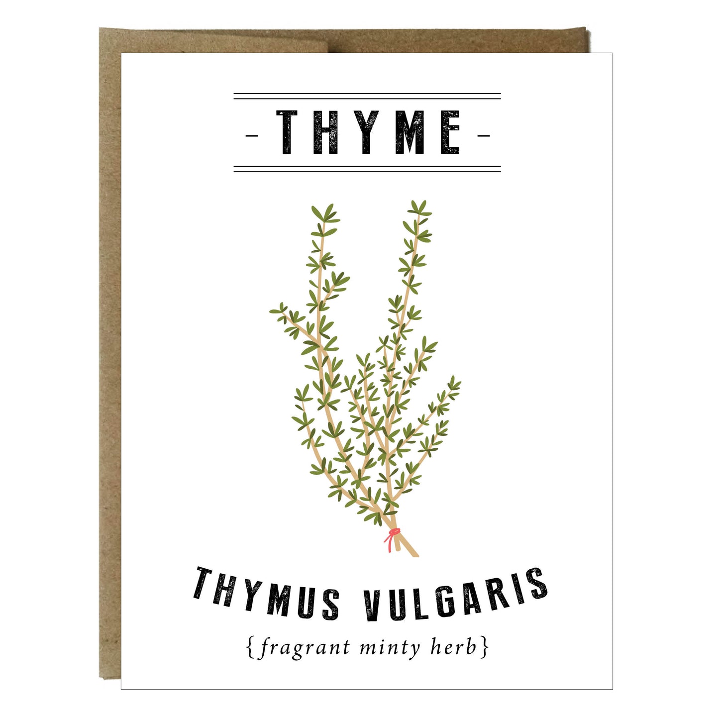 Tarjetas botánicas de verduras y hierbas - paquete de 5