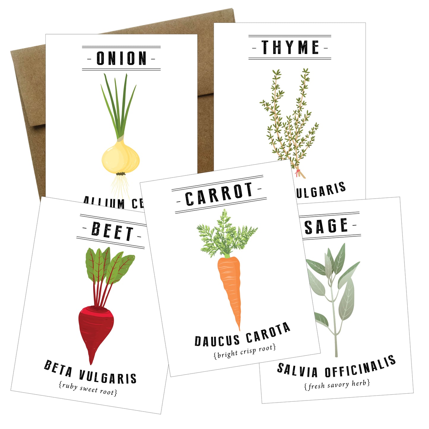 Tarjetas botánicas de verduras y hierbas - paquete de 5